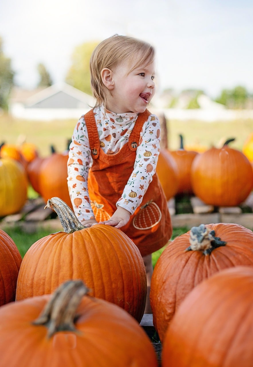 girl, pumpkins, pumpkin patch, pumpkin farm, fall, autumn, thanksgiving, harvest, halloween, child, pumpkin patch, pumpkin patch, thanksgiving, thanksgiving, harvest, halloween, halloween, halloween, halloween, child, child, child, child, child