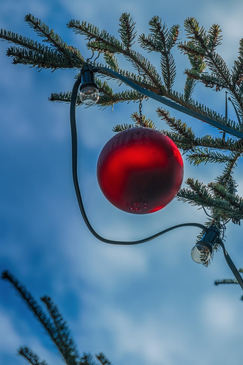 christmas ornament, ball, red, tree decorations, christmas time, christmas, christmas decoration, advent, decoration, greeting card, pine tree, christmas ornament, christmas, christmas, christmas, christmas, christmas