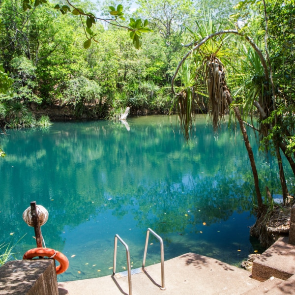 The entrance to the swimming hole at Berry Springs, a fresh water spring in the Northern Territory.